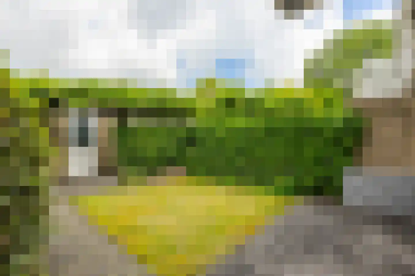 De Horst 28 Sliedrecht thumbnail 32
