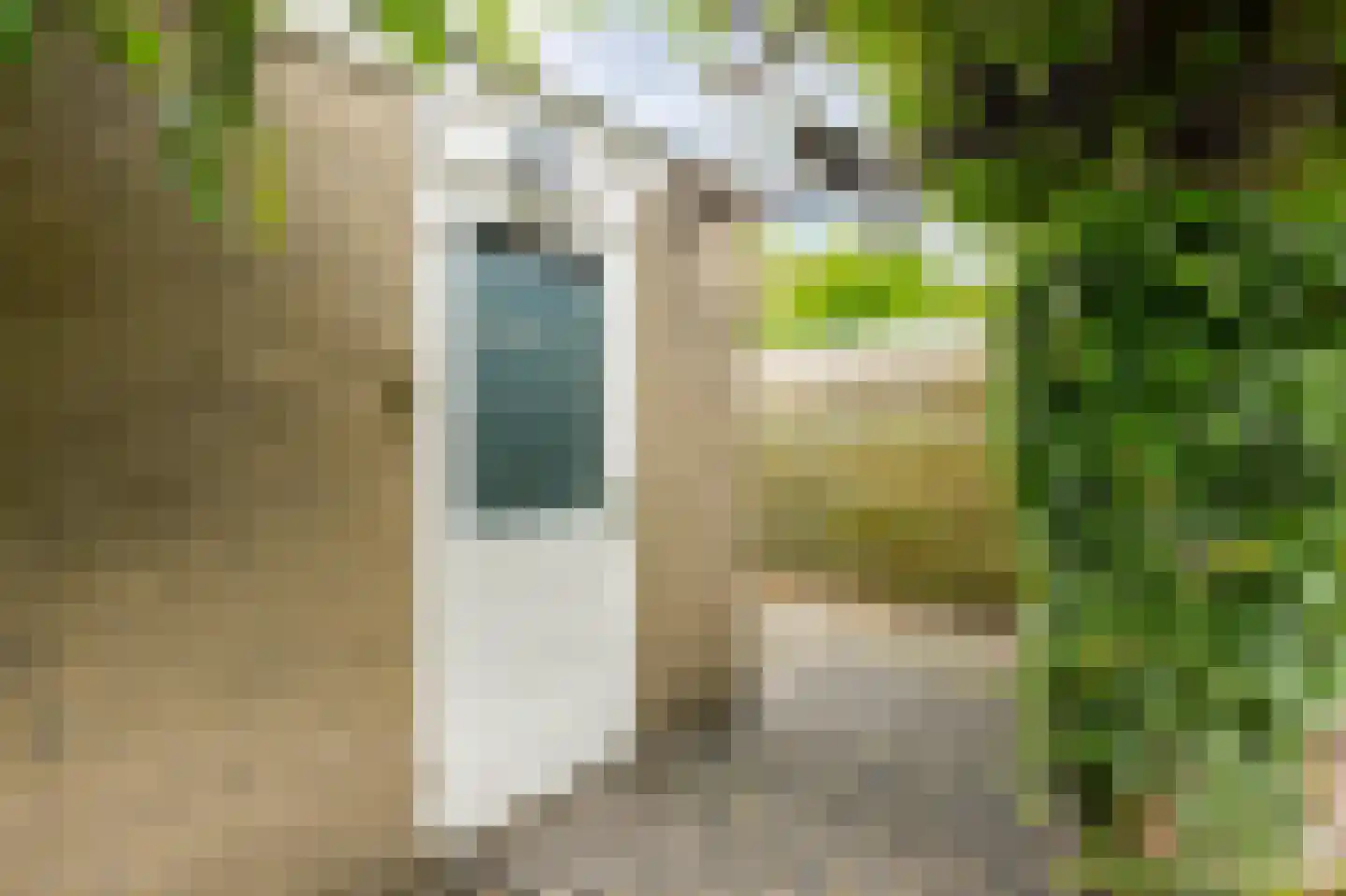 De Horst 28 Sliedrecht thumbnail 33