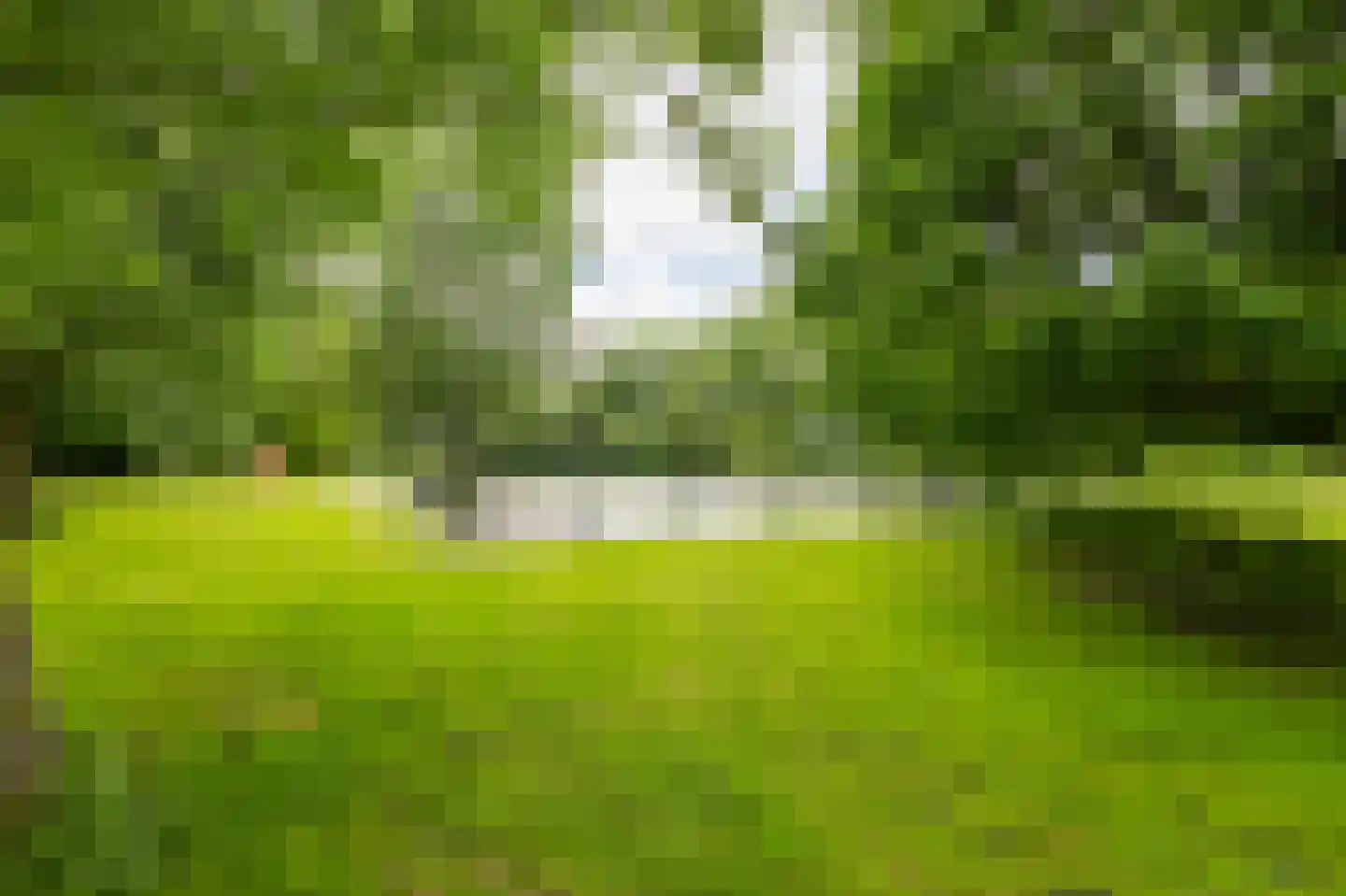 De Horst 28 Sliedrecht thumbnail 36