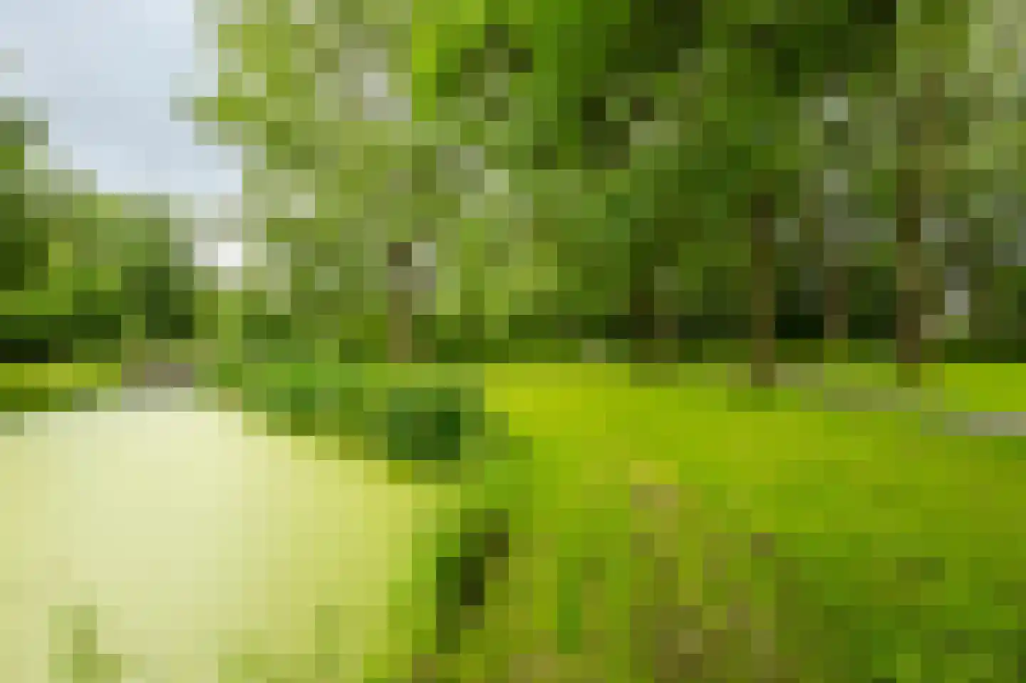 De Horst 28 Sliedrecht thumbnail 37