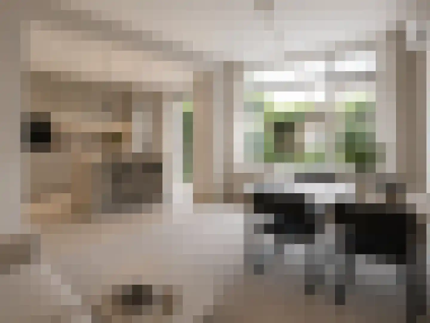De Horst 28 Sliedrecht thumbnail 5