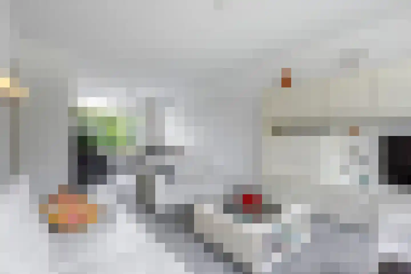 De Horst 28 Sliedrecht thumbnail 7