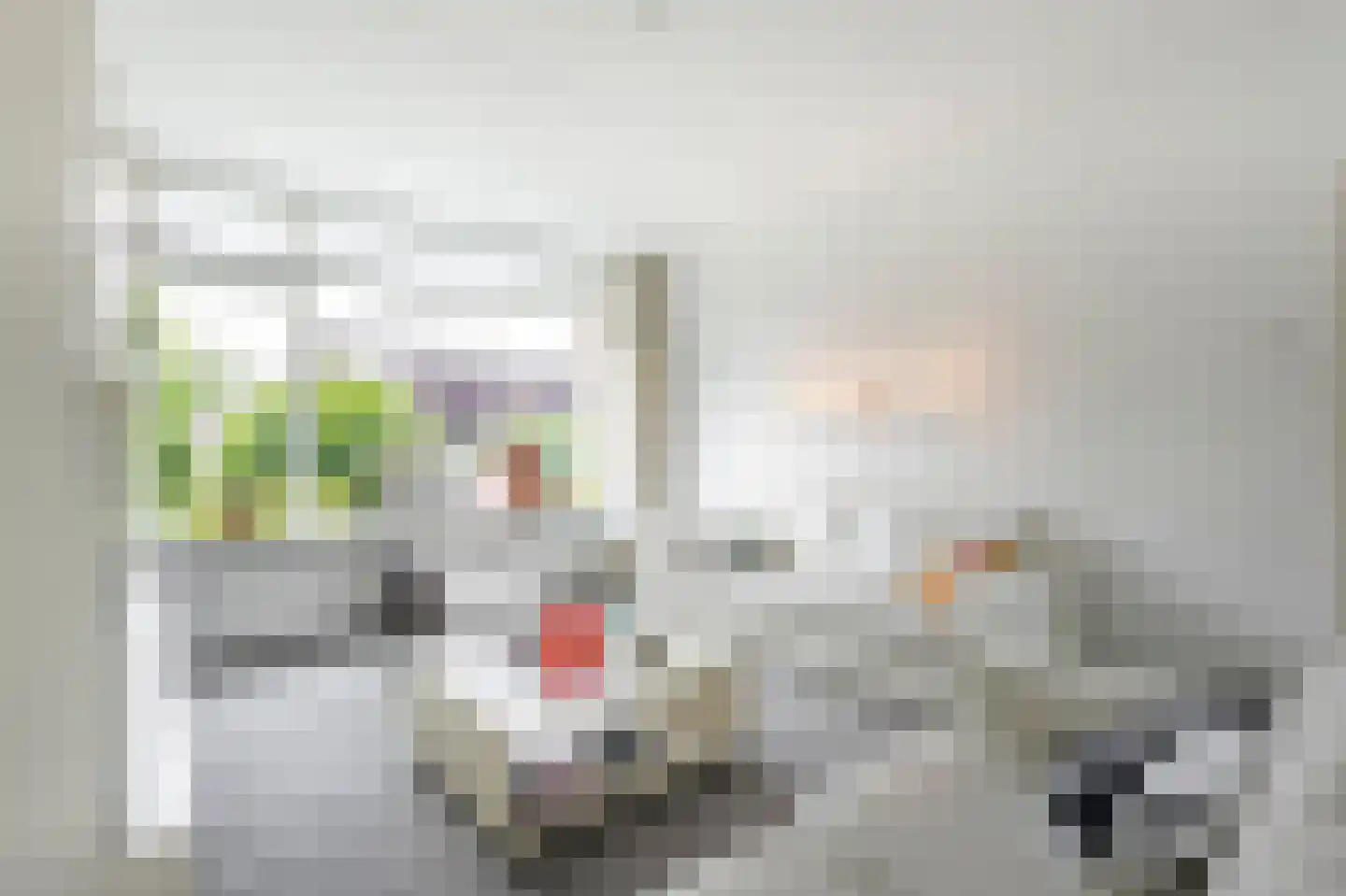 De Horst 28 Sliedrecht thumbnail 9