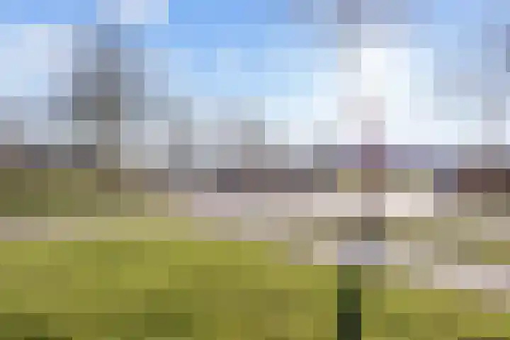 De Horst 3 Bedum thumbnail 6