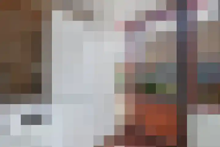 De Horst 3 Zevenaar thumbnail 10