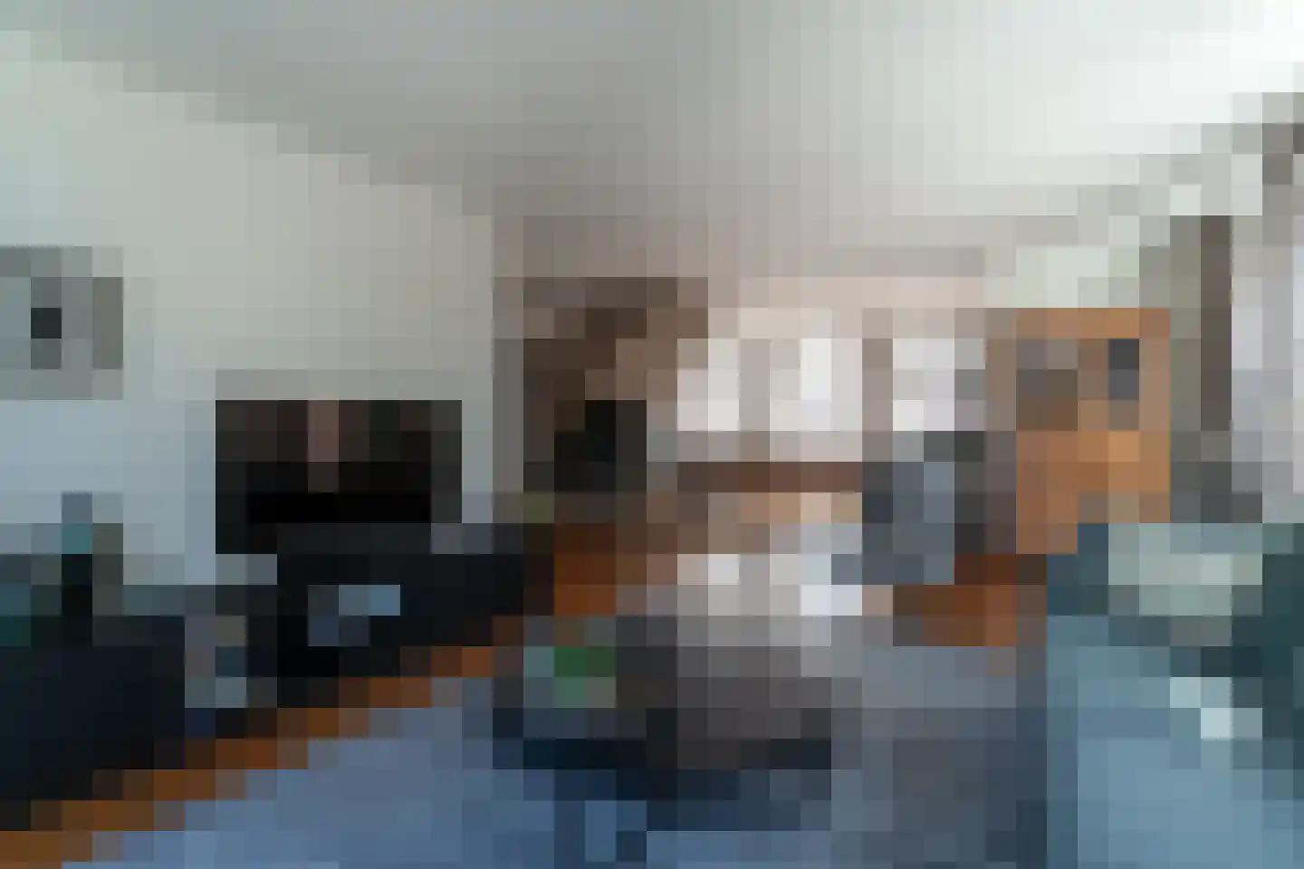 De Horst 3 Zevenaar thumbnail 16