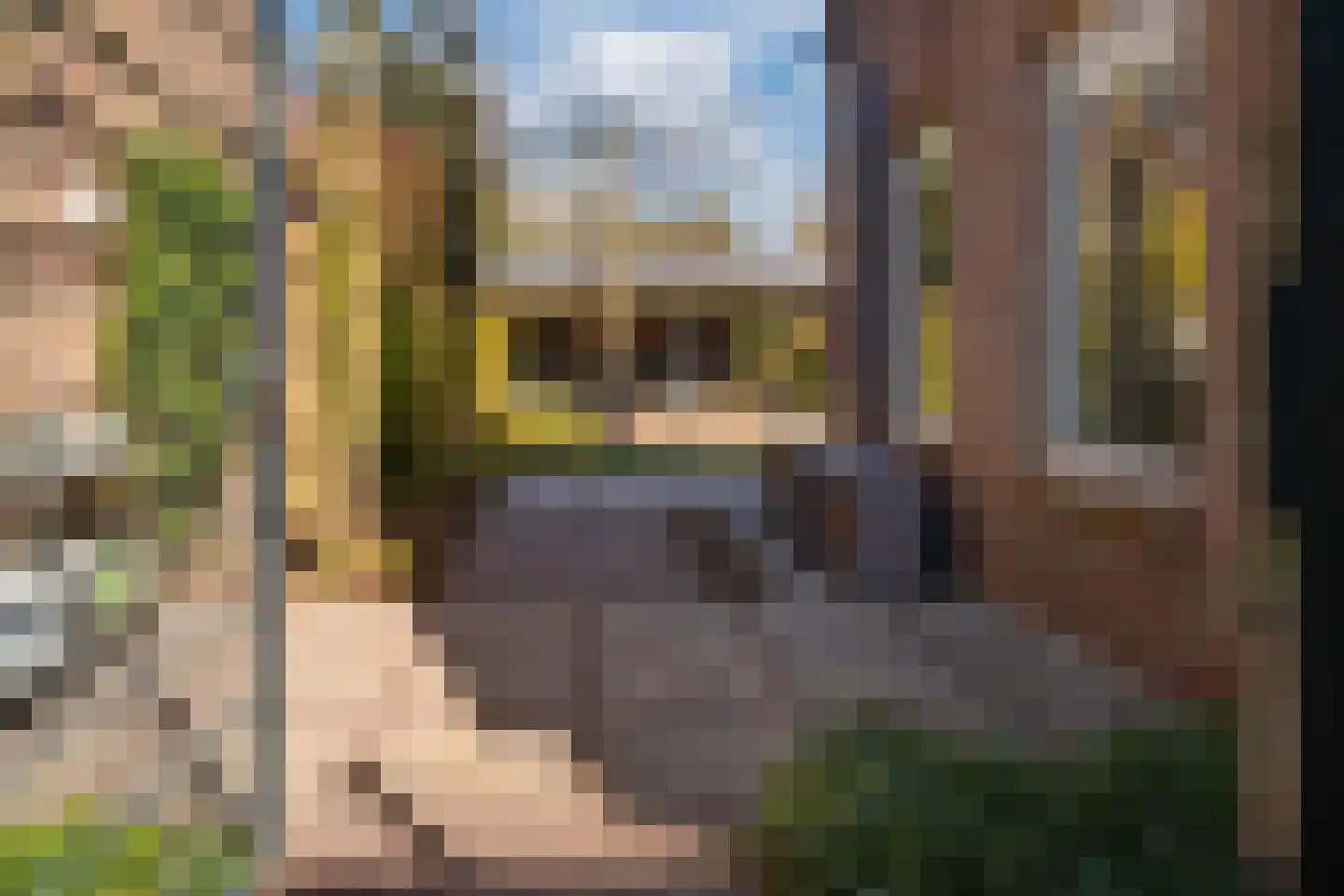 De Horst 3 Zevenaar thumbnail 32
