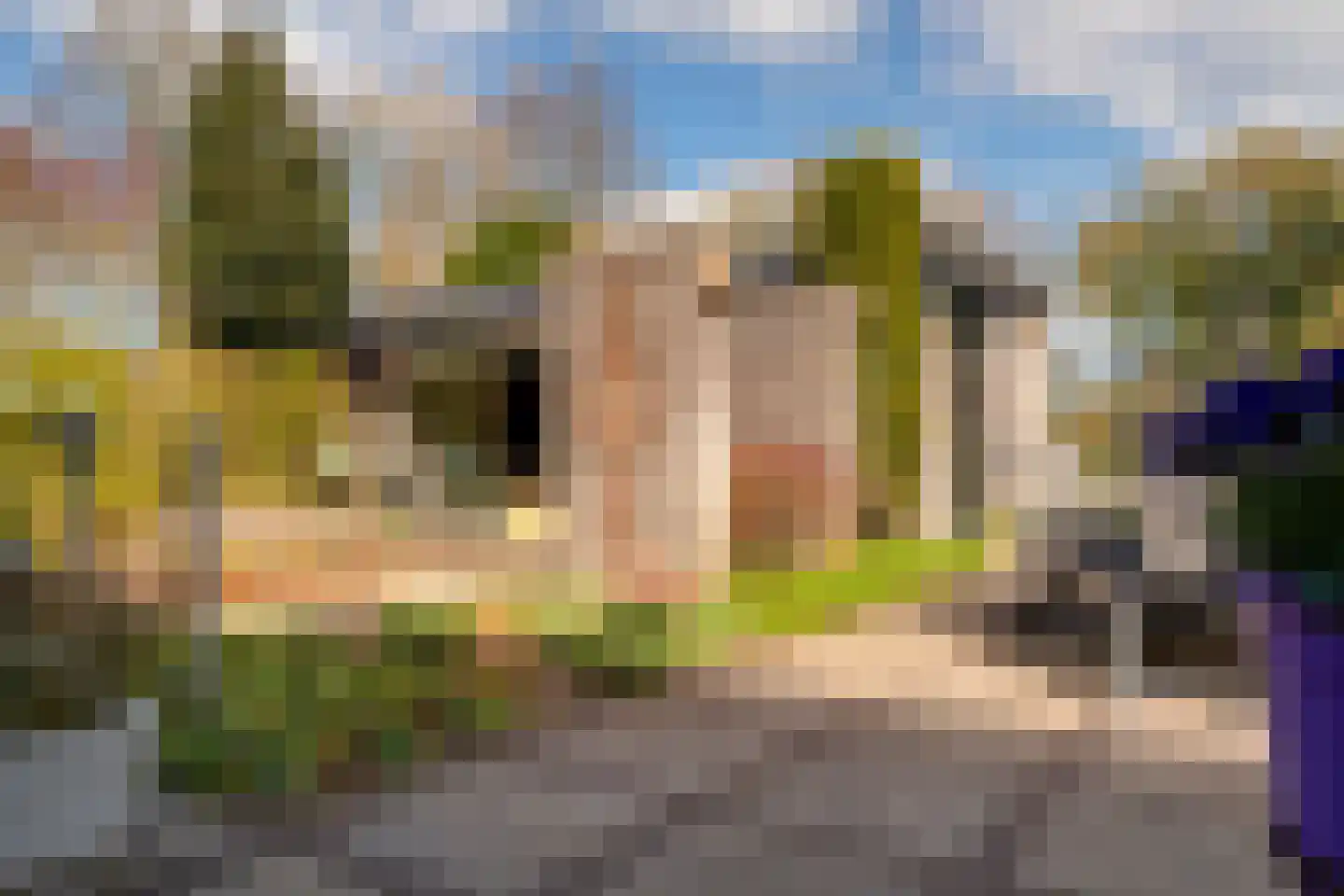 De Horst 3 Zevenaar thumbnail 35