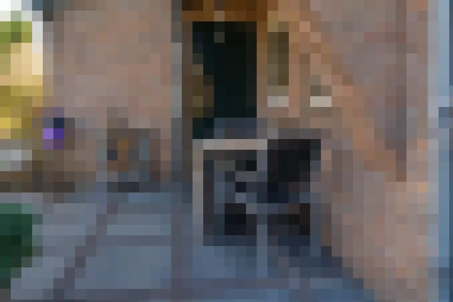 De Horst 3 Zevenaar thumbnail 36