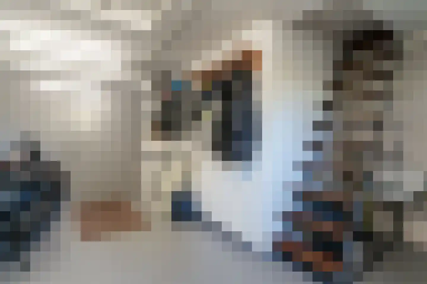 De Horst 3 Zevenaar thumbnail 43