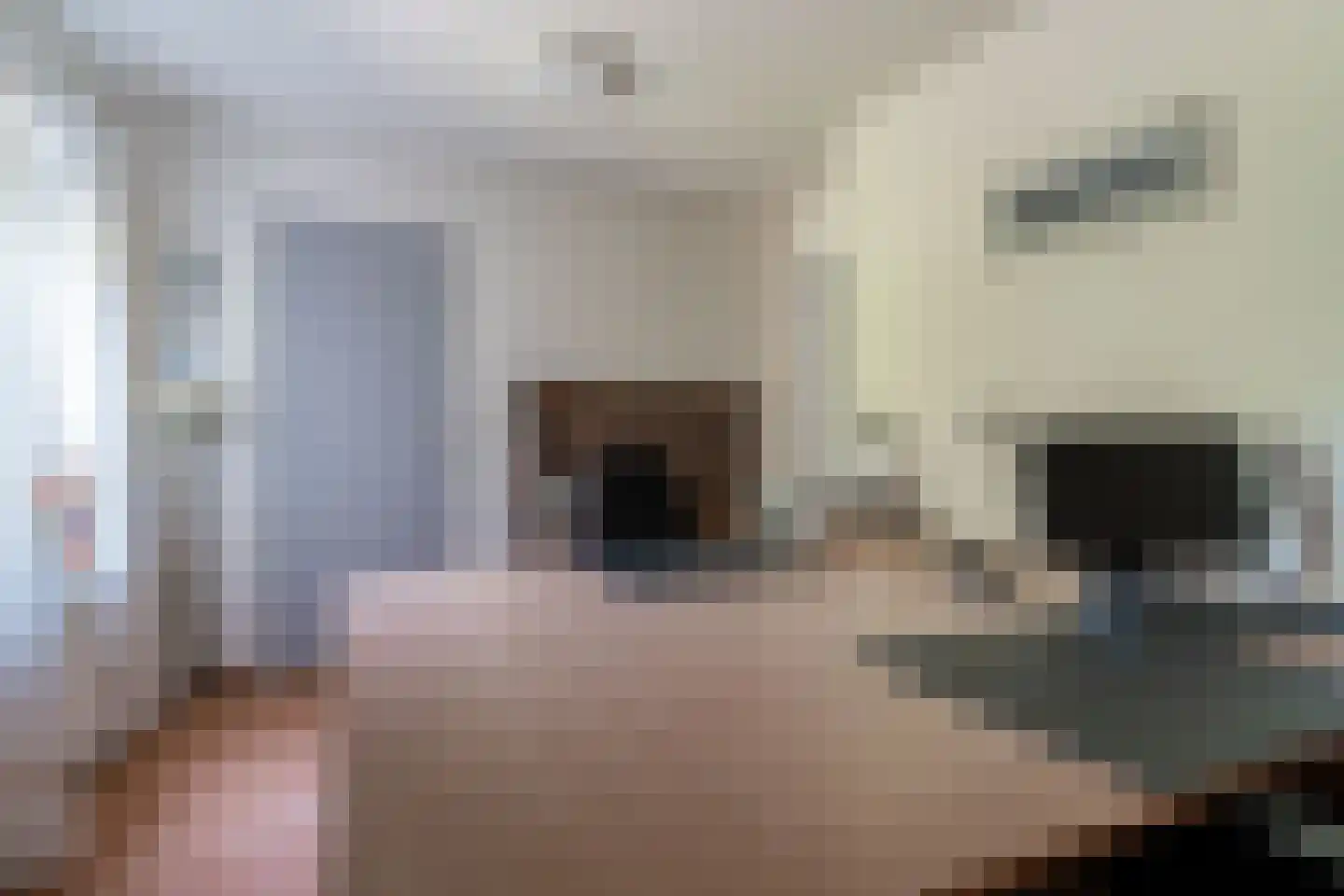 De Horst 3 Zevenaar thumbnail 50