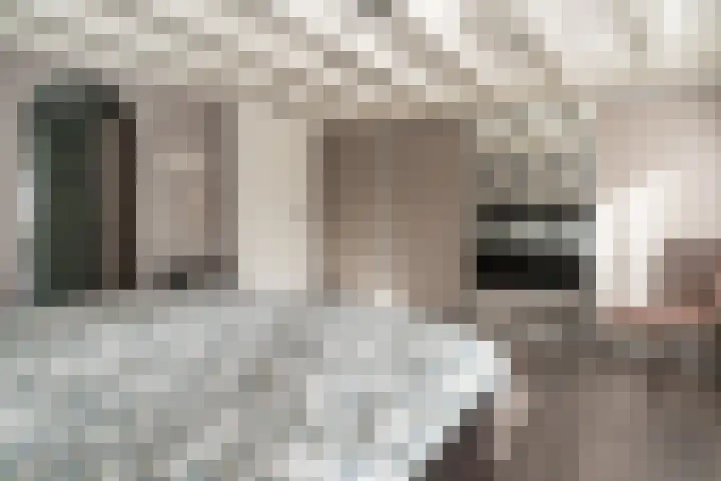 De Horst 3 Zevenaar thumbnail 54