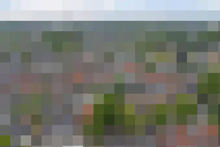 De Horst 3 Zevenaar thumbnail 91