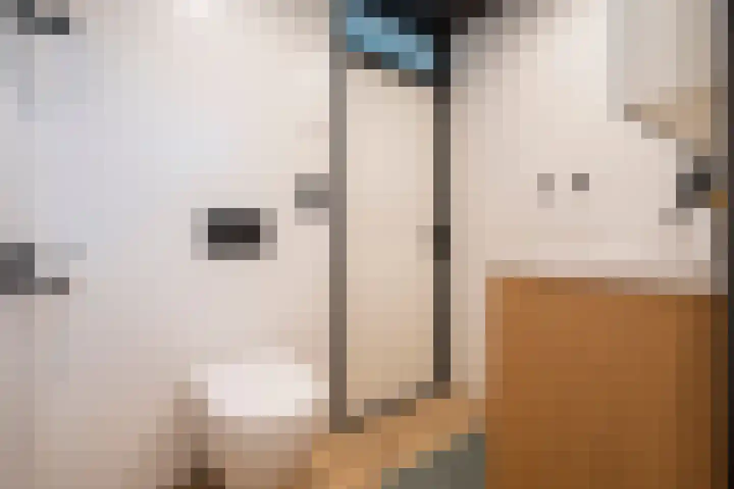 De Horst 31 Sliedrecht thumbnail 29