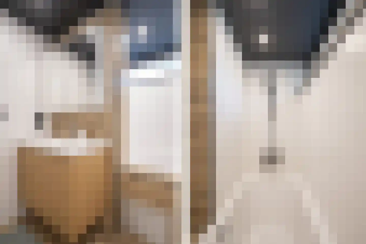 De Horst 31 Sliedrecht thumbnail 30