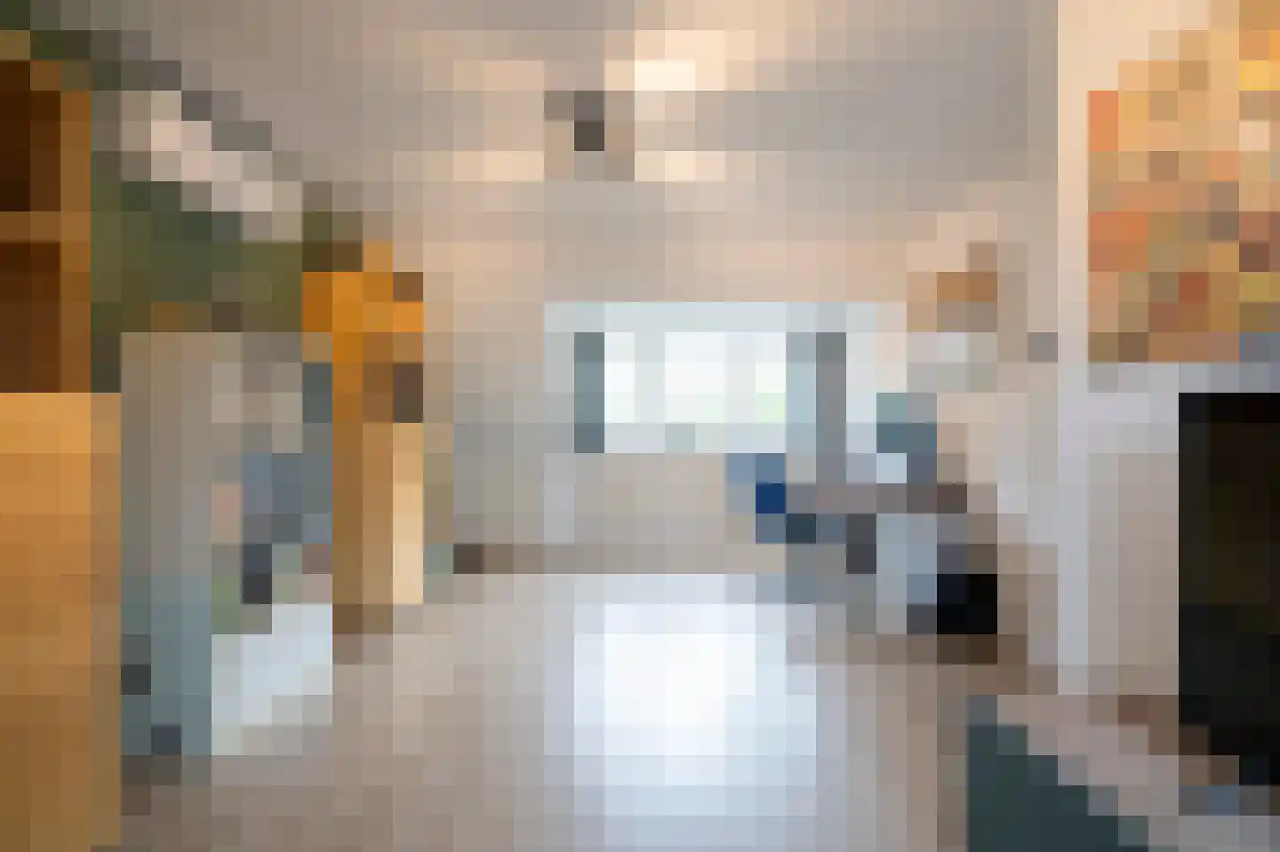 De Horst 31 Sliedrecht thumbnail 33