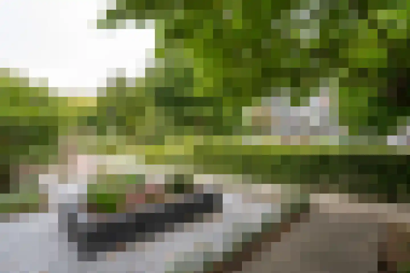 De Horst 31 Sliedrecht thumbnail 5