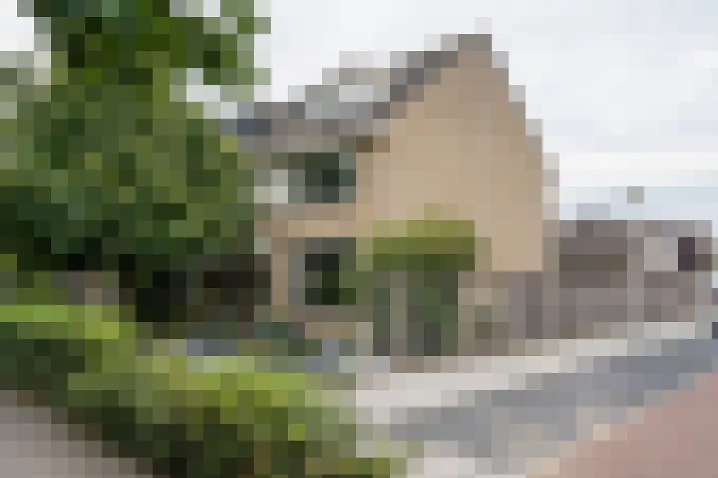 De Horst 31 Sliedrecht thumbnail 7