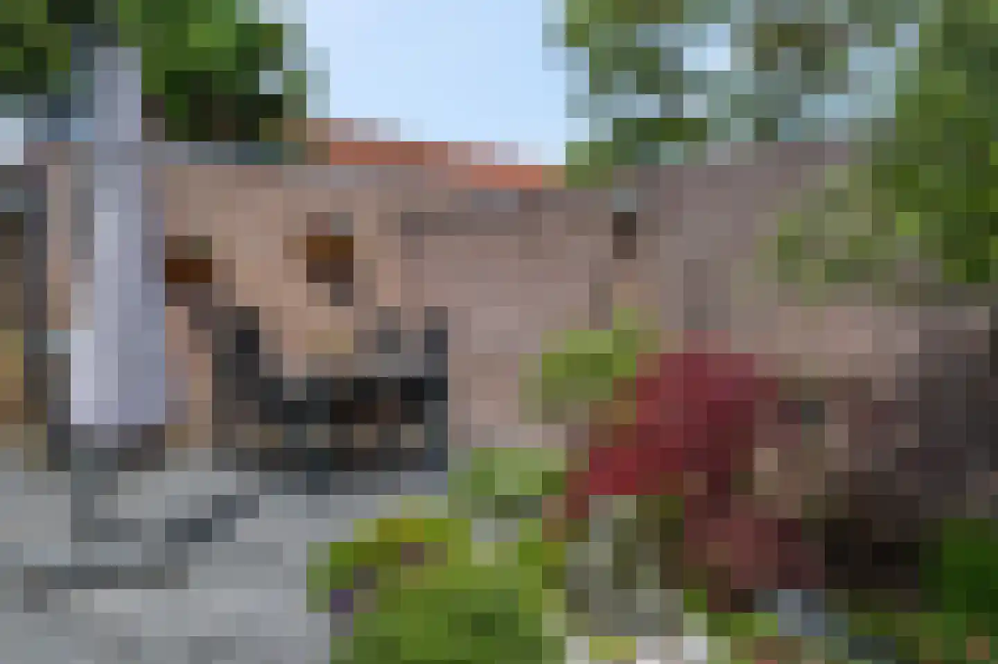De Horst 35 Rhenen thumbnail 32