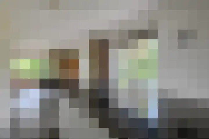 De Horst 36 Malden thumbnail 12