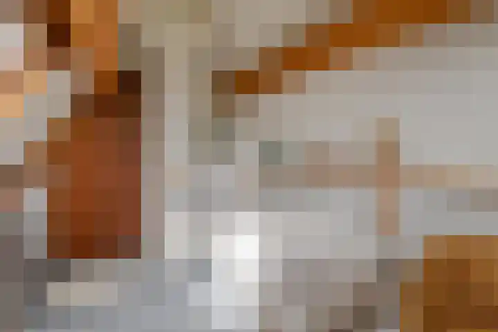 De Horst 36 Malden thumbnail 35