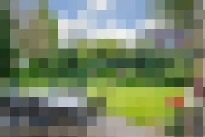 De Horst 36 Malden thumbnail 40
