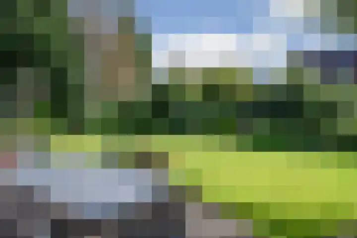 De Horst 36 Malden thumbnail 41