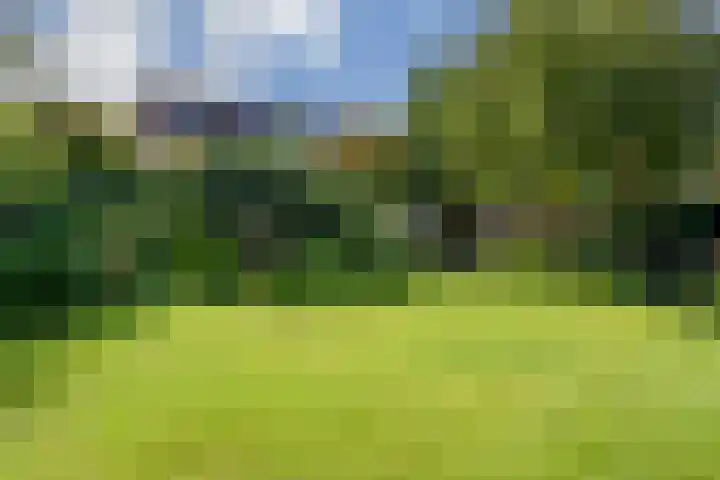 De Horst 36 Malden thumbnail 42