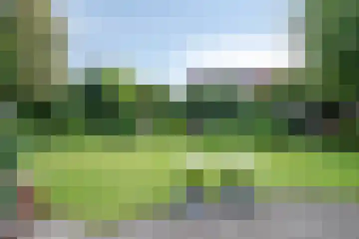 De Horst 36 Malden thumbnail 43
