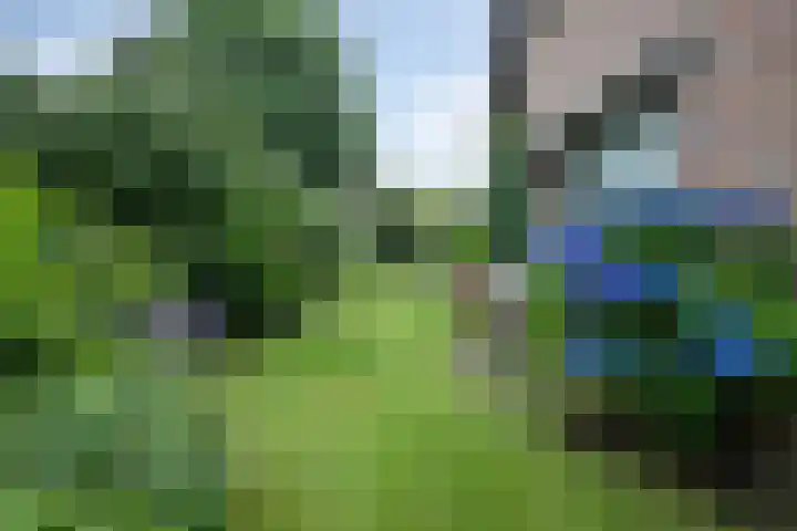 De Horst 36 Malden thumbnail 46