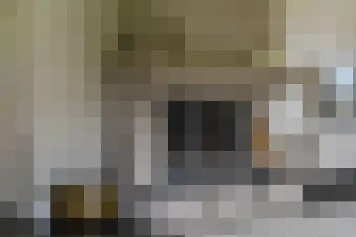 De Horst 36 Malden thumbnail 7