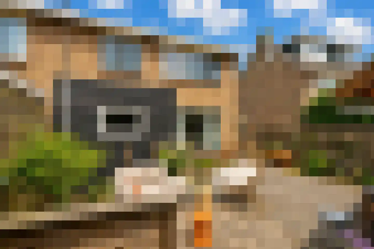 De Horst 37 Hurdegaryp thumbnail 11