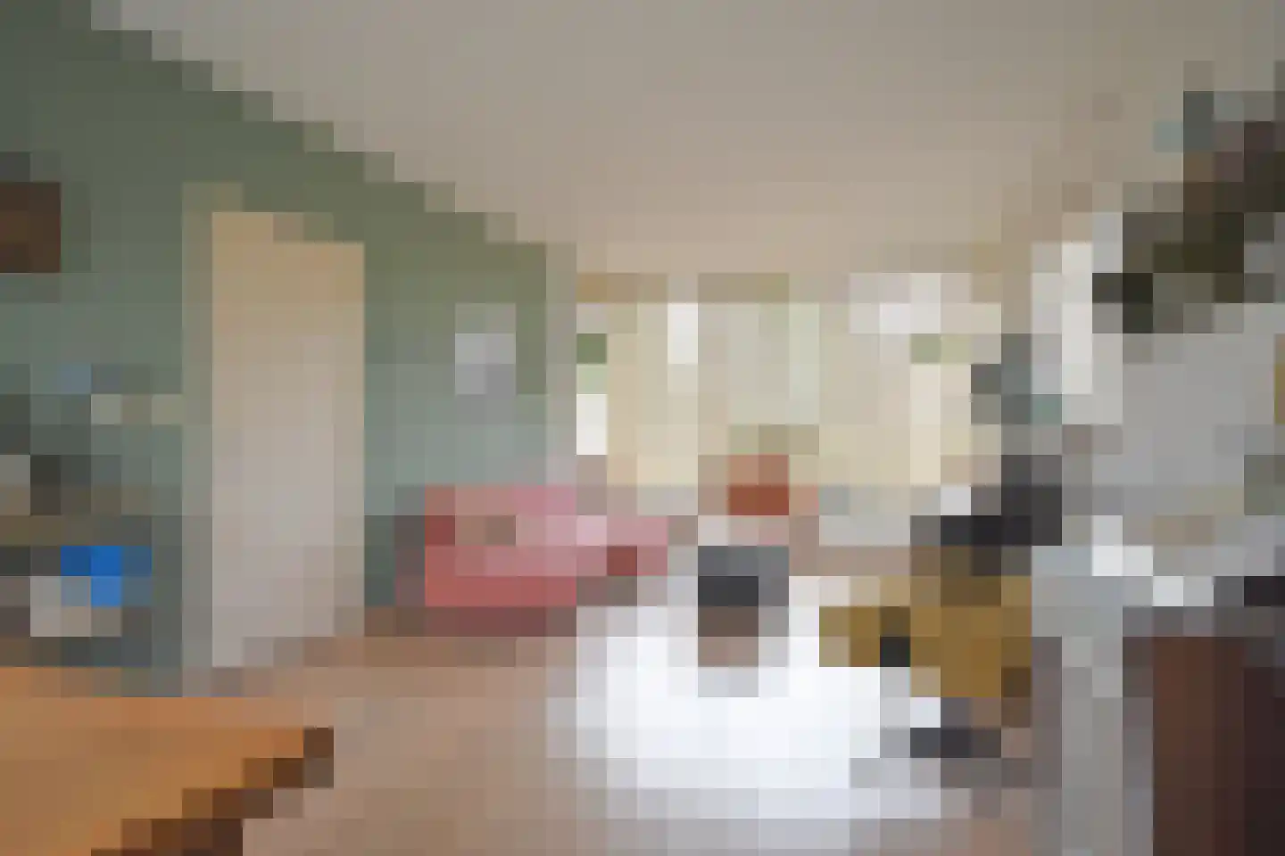 De Horst 37 Hurdegaryp thumbnail 18