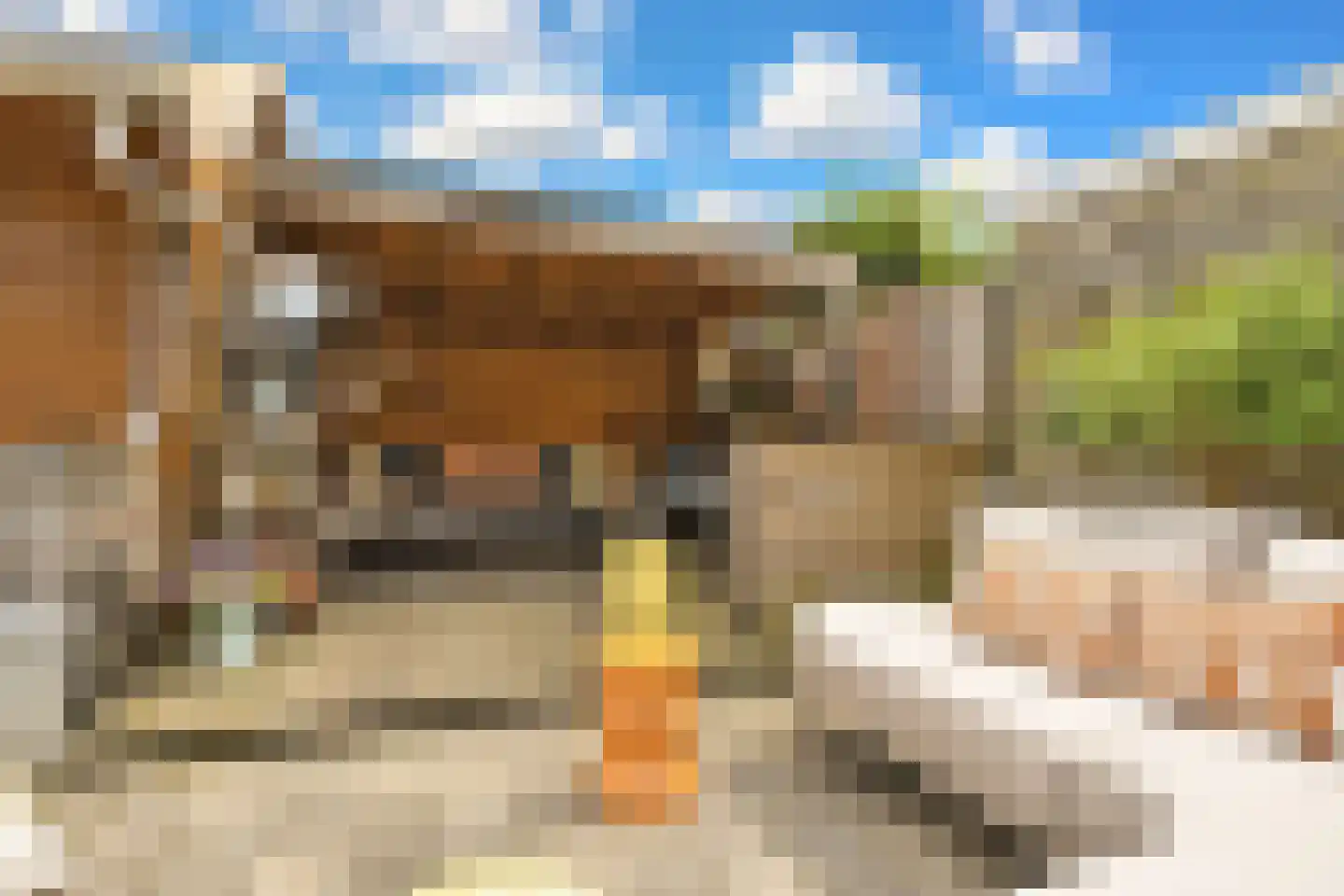 De Horst 37 Hurdegaryp thumbnail 8