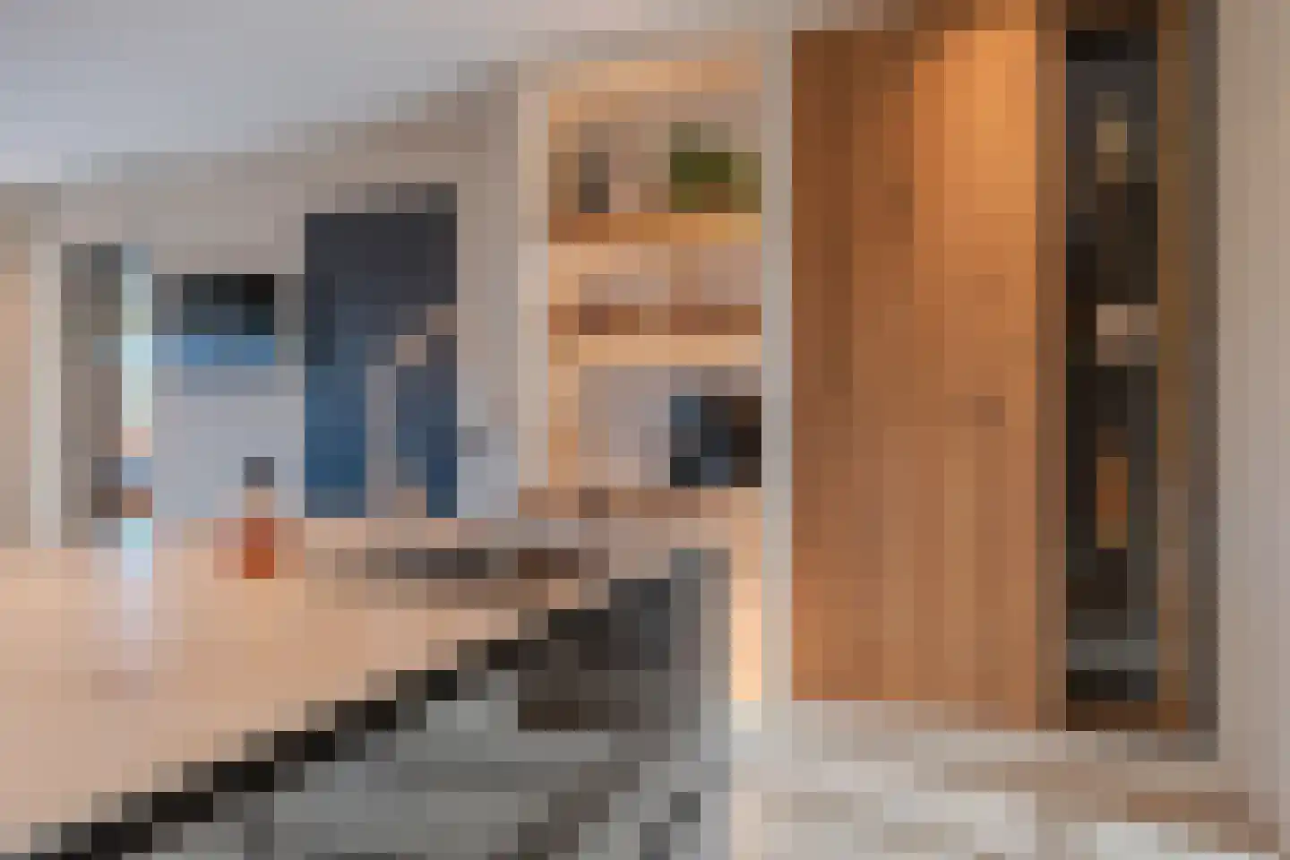 De Horst 4 Someren thumbnail 14