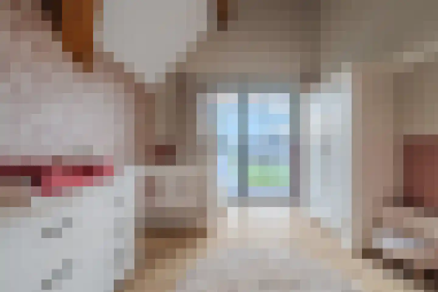 De Horst 4 Someren thumbnail 30