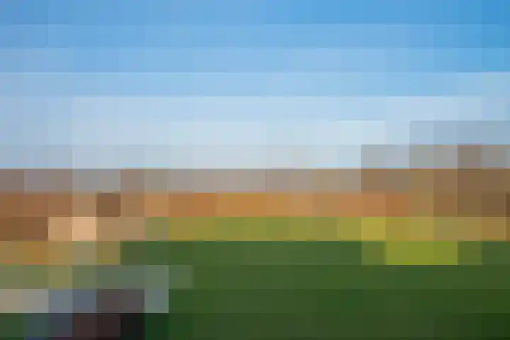 De Horst 4 Someren thumbnail 46
