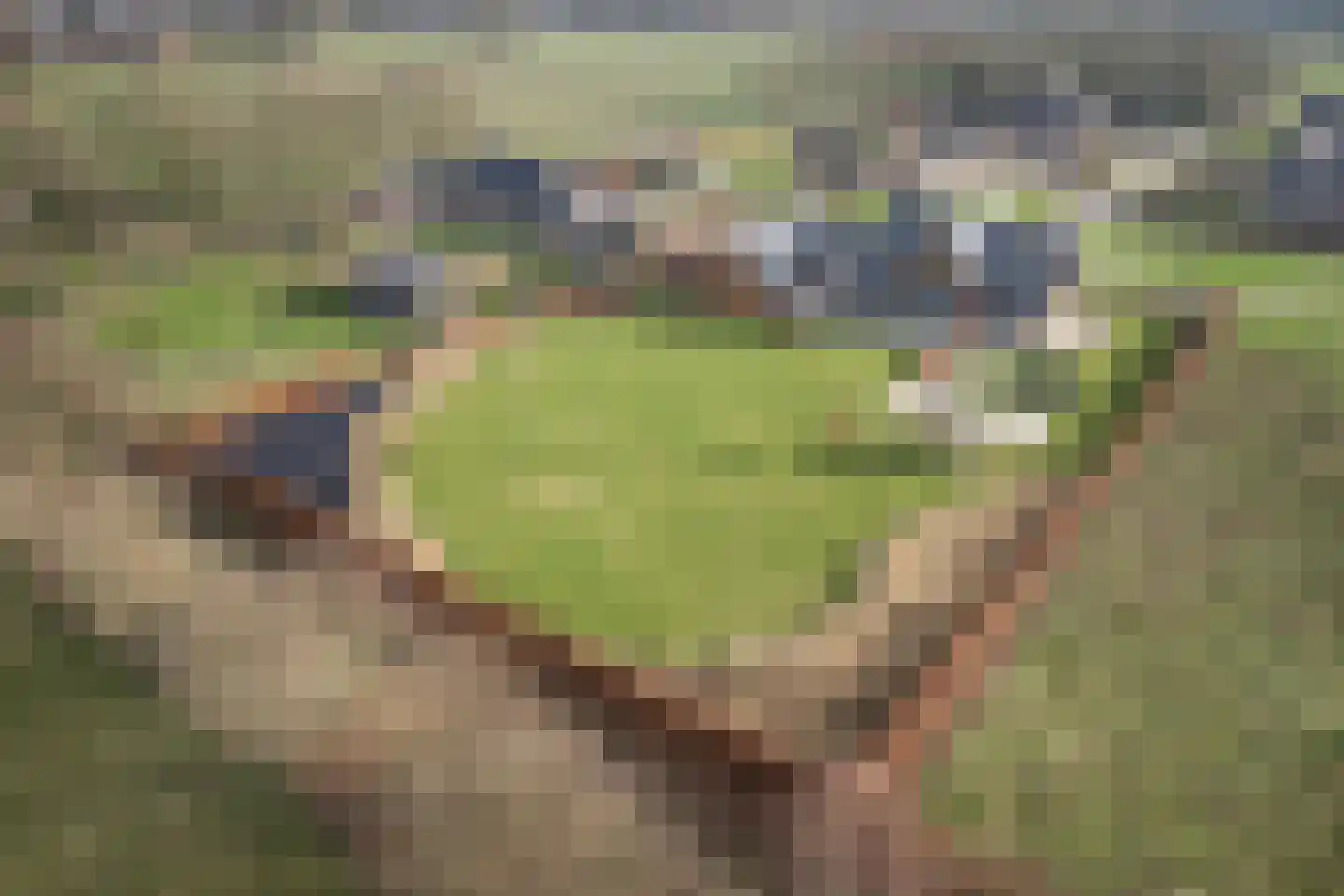 De Horst 4 Someren thumbnail 52