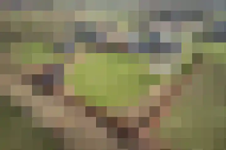 De Horst 4 Someren thumbnail 53