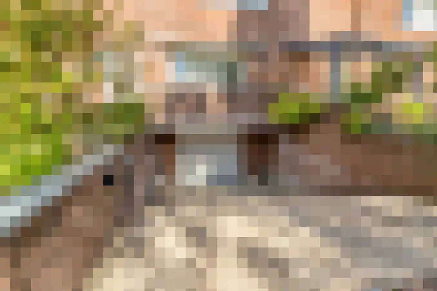 De Horst 5 Noordwijkerhout thumbnail 15