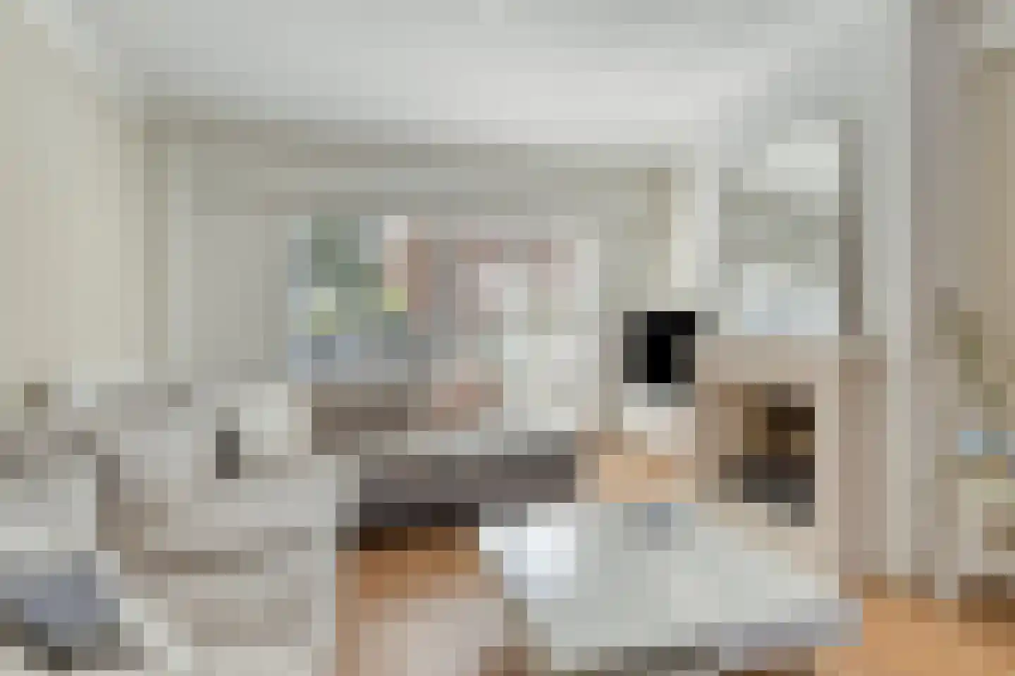 De Horst 5 Noordwijkerhout thumbnail 17