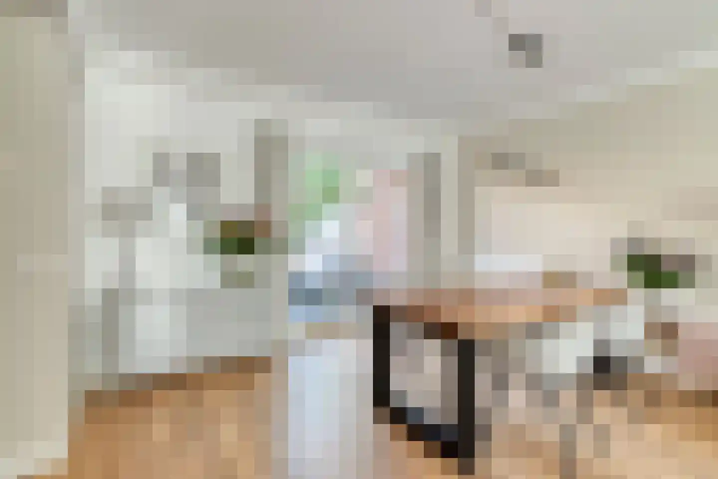 De Horst 5 Noordwijkerhout thumbnail 20