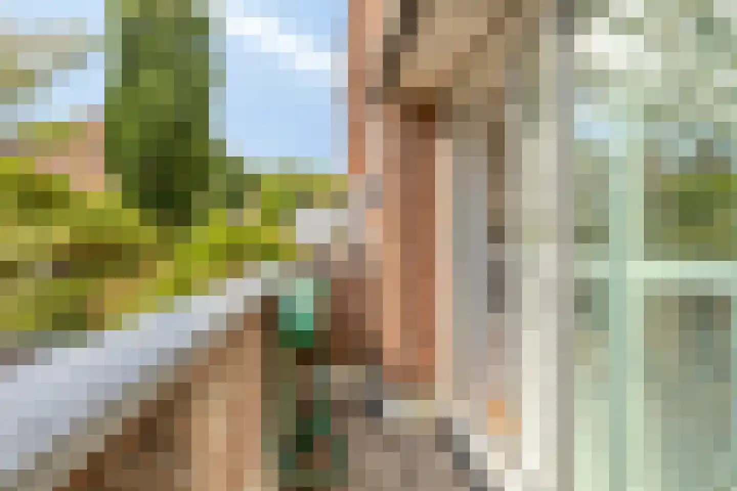 De Horst 5 Noordwijkerhout thumbnail 24