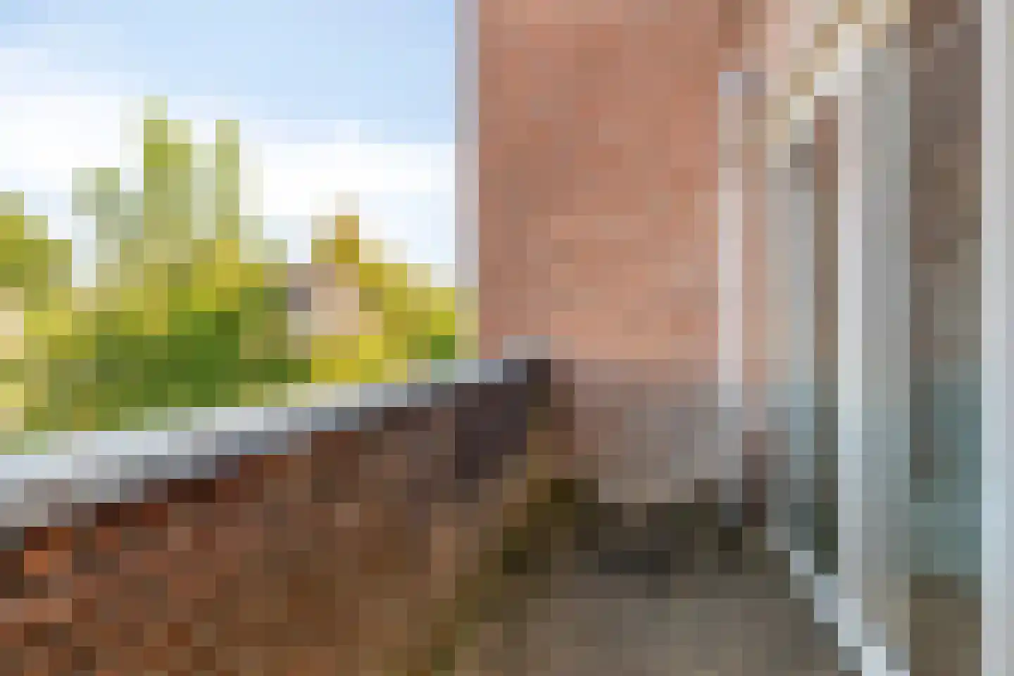 De Horst 5 Noordwijkerhout thumbnail 31