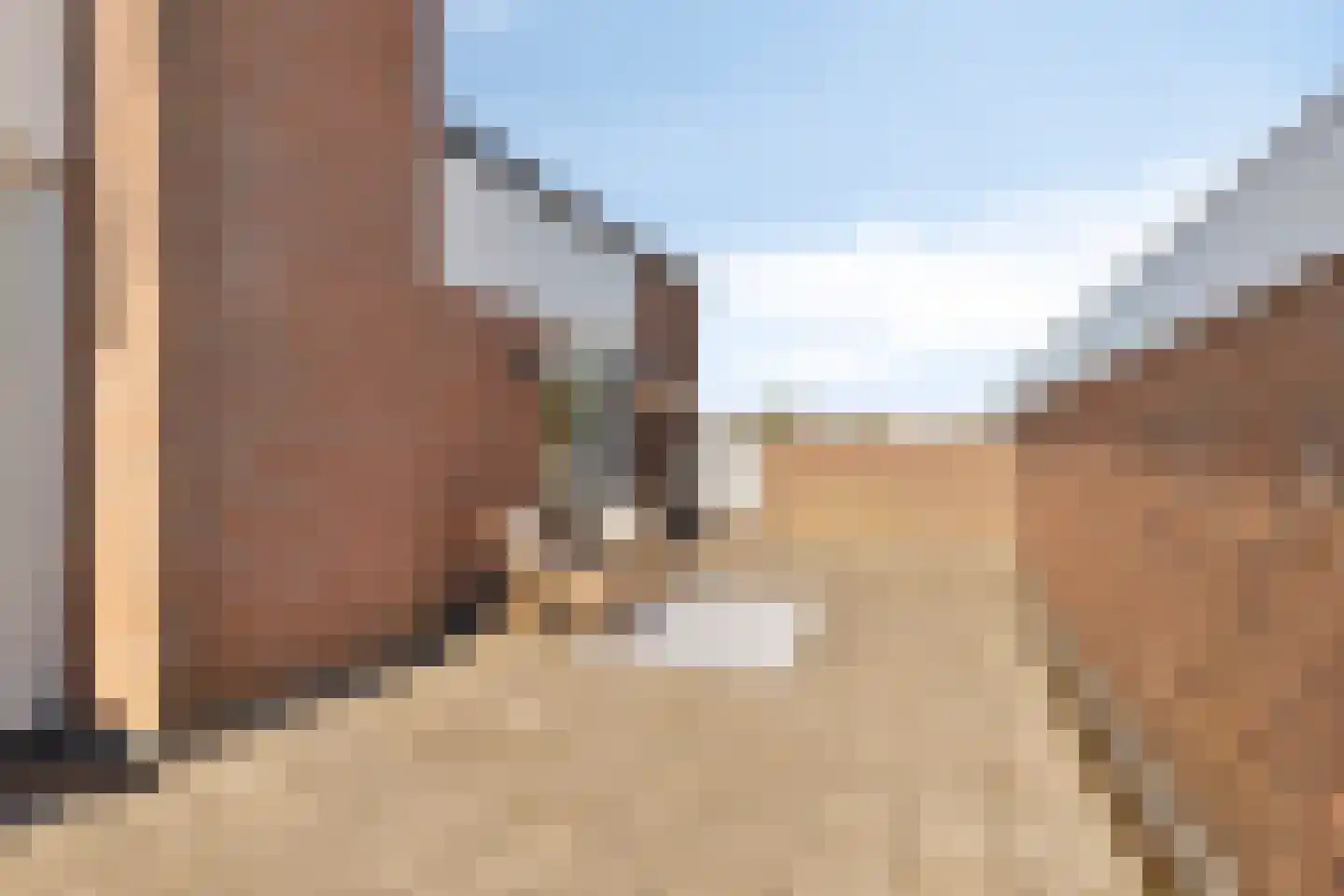 De Horst 5 Noordwijkerhout thumbnail 35