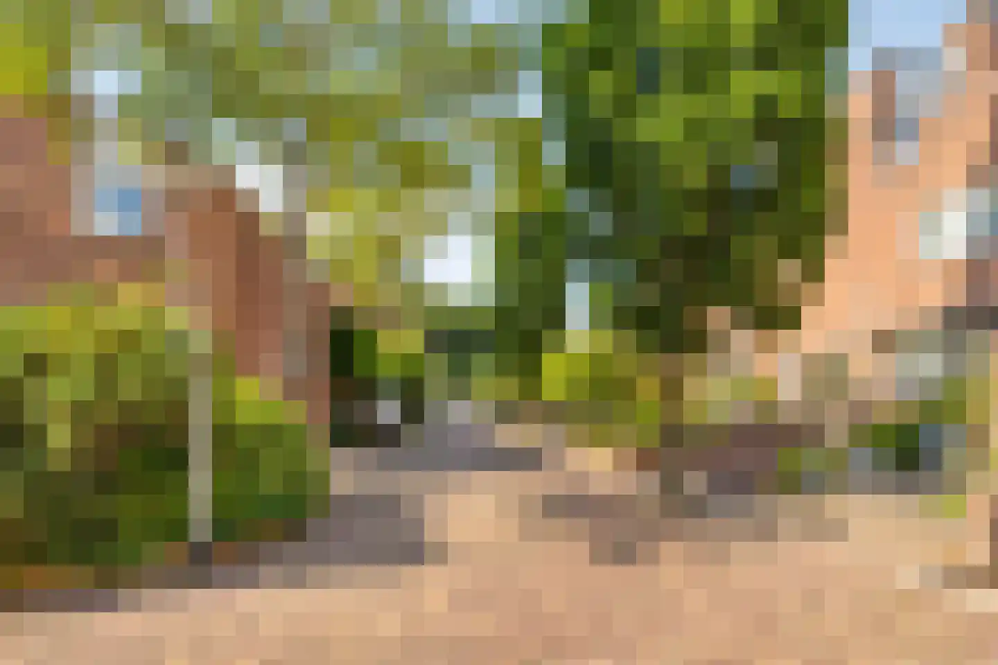 De Horst 5 Noordwijkerhout thumbnail 42