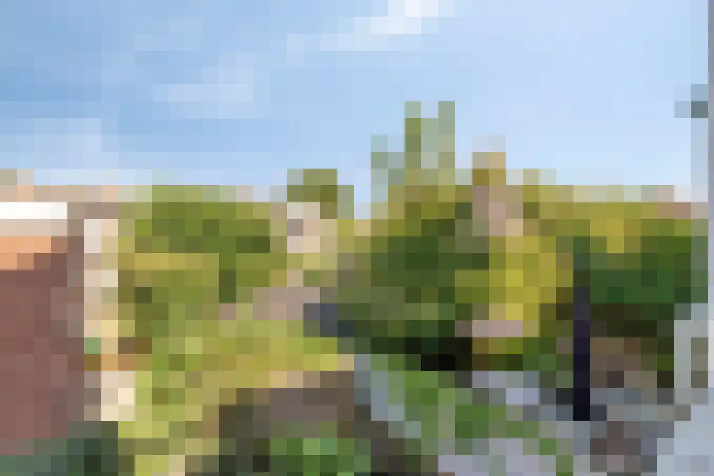 De Horst 5 Noordwijkerhout thumbnail 44
