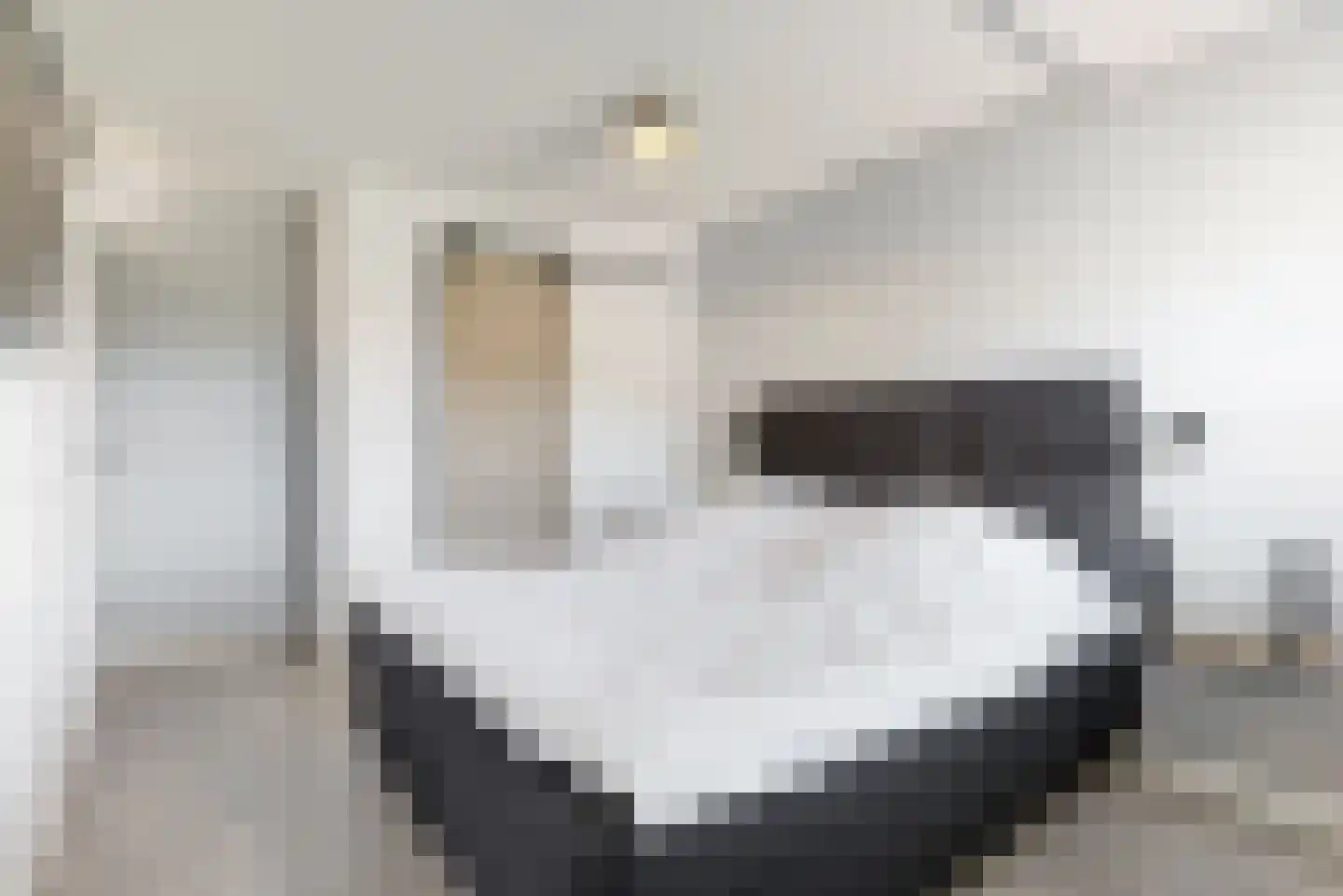 de Horst 5 Tollebeek thumbnail 16