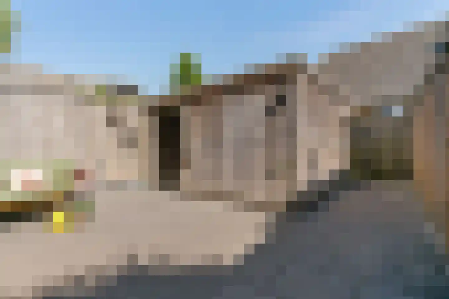 de Horst 5 Tollebeek thumbnail 25