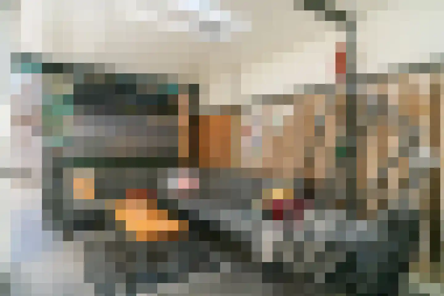 de Horst 5 Tollebeek thumbnail 27
